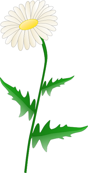 Daisy Flower Clip Art - ClipArt Best