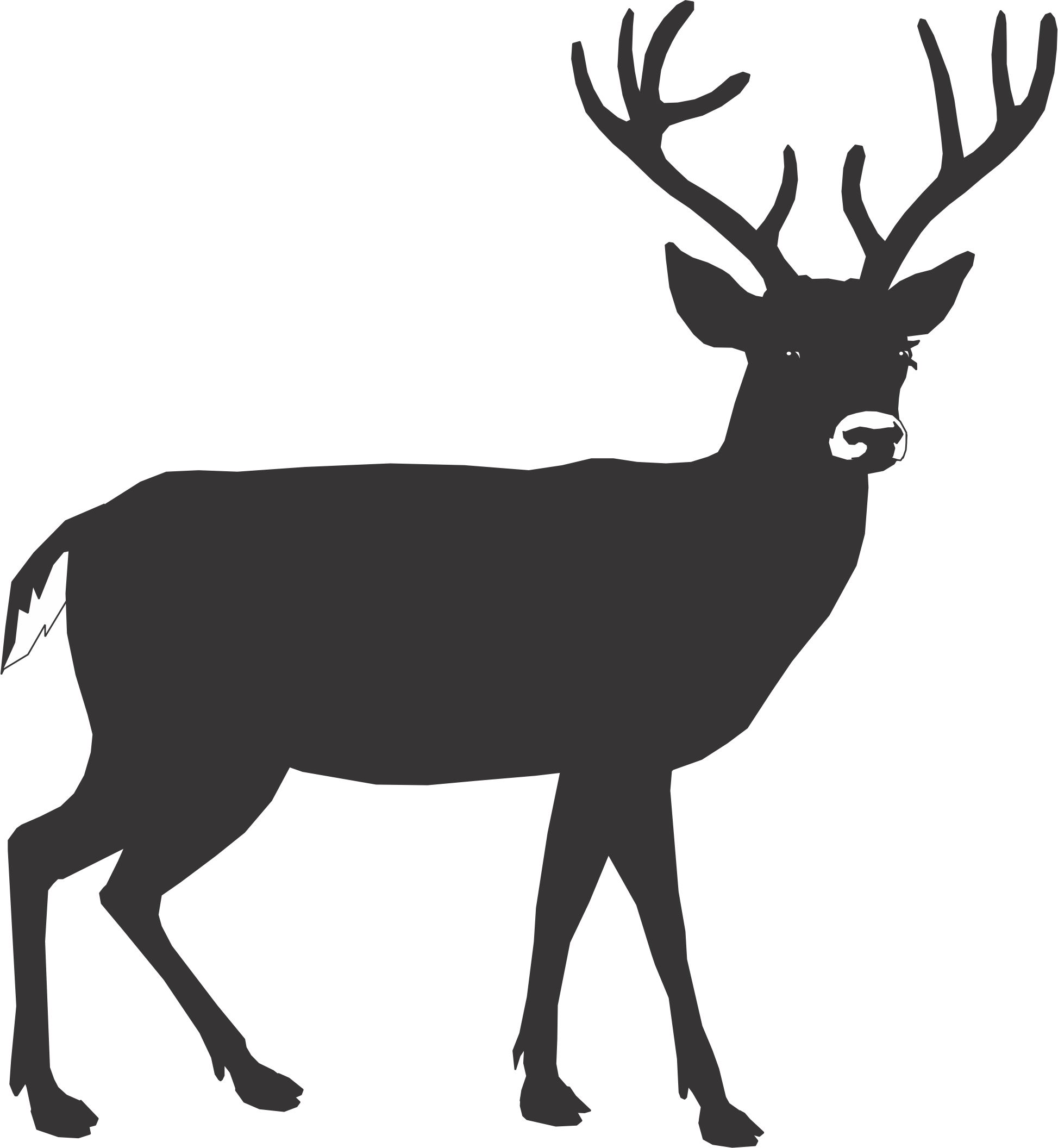 Buck Deer Outline - ClipArt Best
