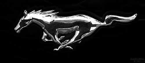 Anyone See the NEW 2010 FORD Taurus??