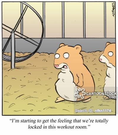 Guinea Pig Cage Cartoons and Comics - funny pictures from CartoonStock