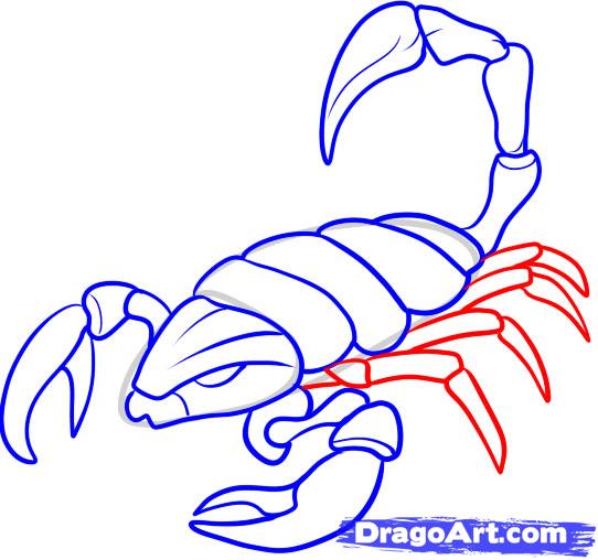 How to Draw Scorpions, Step by Step, Bugs, Animals, FREE Online ...