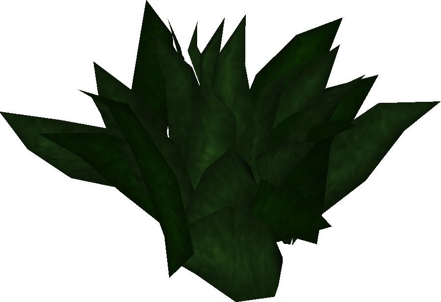 Herb - The RuneScape Wiki