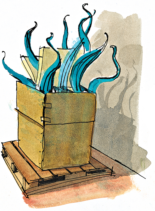 Seattle Sketcher | The Seattle Times