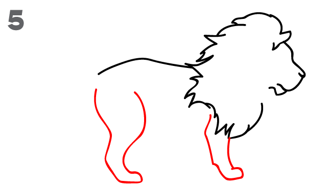 How To Draw a Lion - Step-by-Step