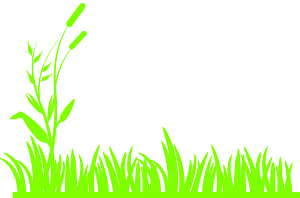 Grass Green clip art - vector clip art online, royalty free ...