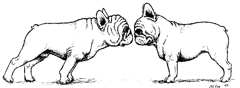 French bulldog Graphics and Animated Gifs. French bulldog