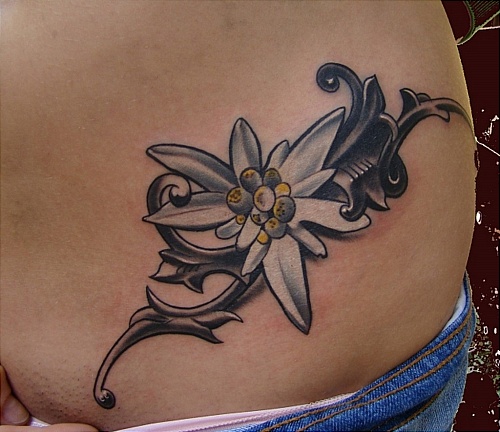 Tattoo of Edelweiss - Tattoo Design Secret