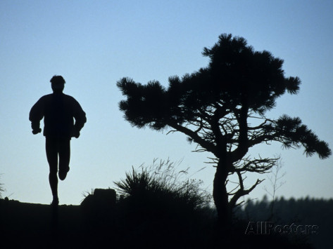 Silhouette of Runner and Tree Photographic Print at AllPosters.com