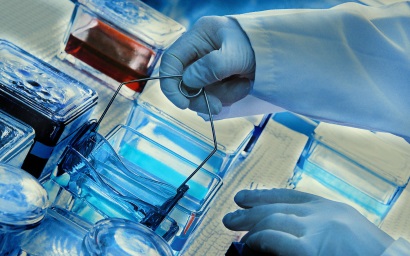 Science-related-industries- ...