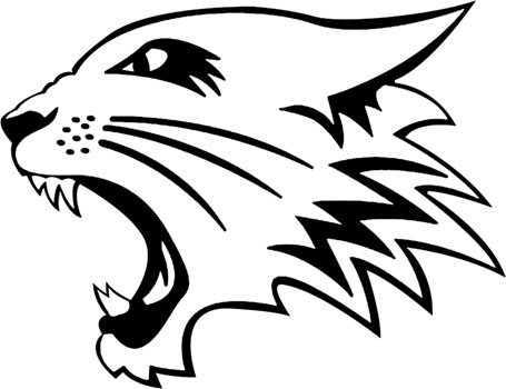 Wild Cat Mascot Head - ClipArt Best