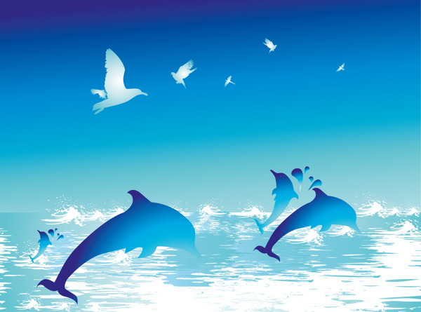 dolphins and birds vector art on Behance