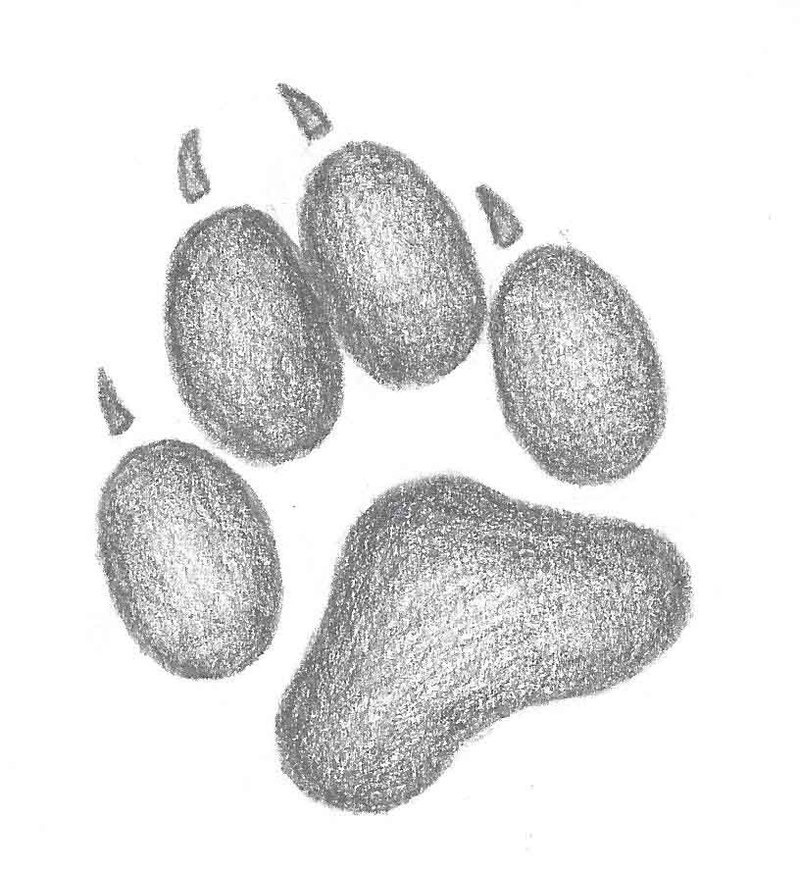 Wolf Paw Print by Midnight-the-kitten on DeviantArt