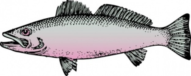 Colored fish clip art Vector | Free Download
