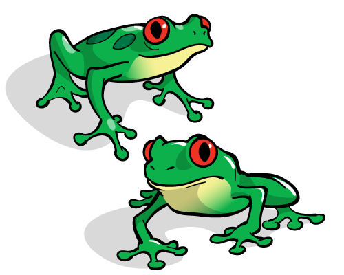 Frog Illustration