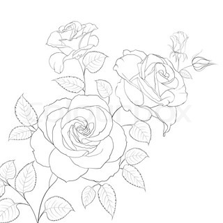 Abstract rose free-hand drawing in a graphic style points and ...
