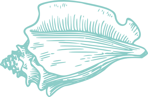 Perfect Teal Conch Shell Clip Art at Clker.com - vector clip art ...