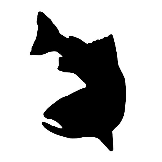 Trout Silhouette - ClipArt Best
