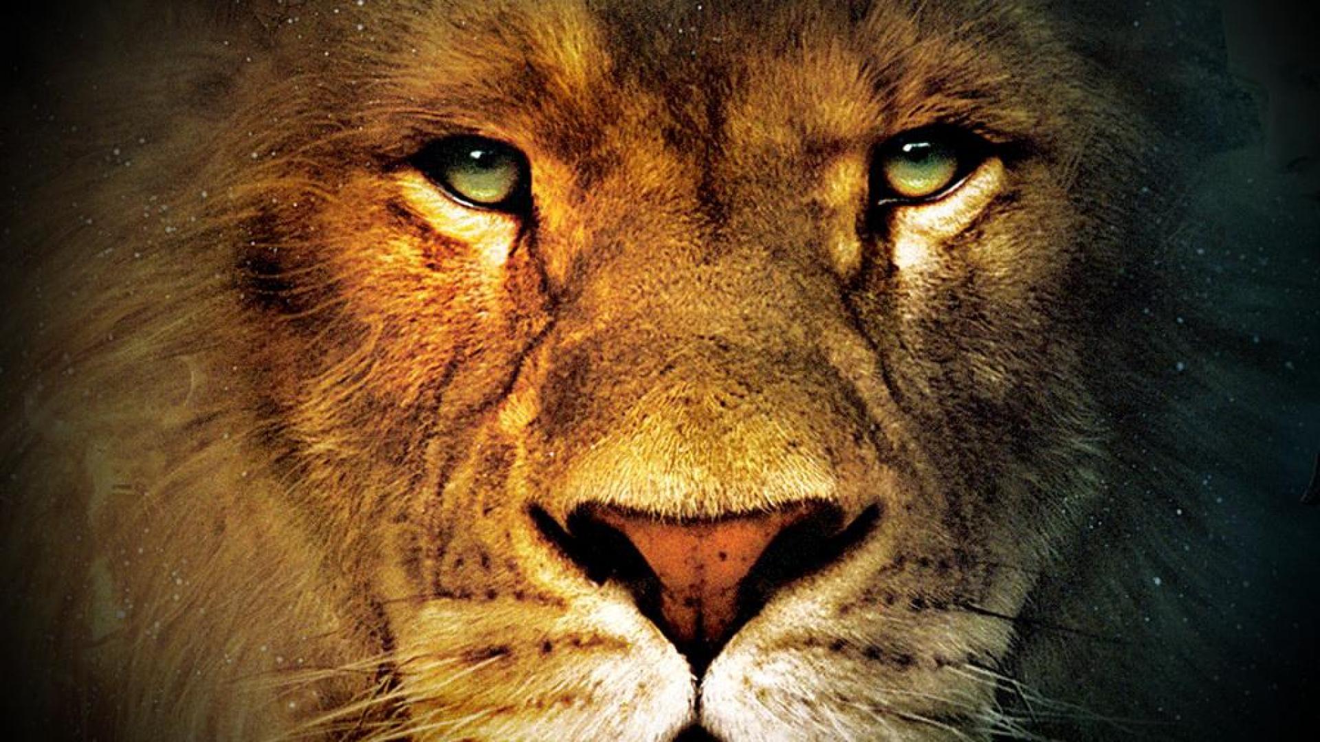 FACE OF A KING WALLPAPER - (#123536) - HD Wallpapers ...