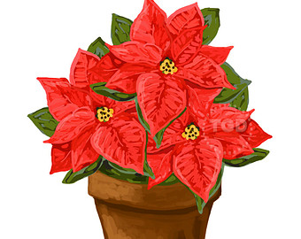 Popular items for poinsettia clip art on Etsy