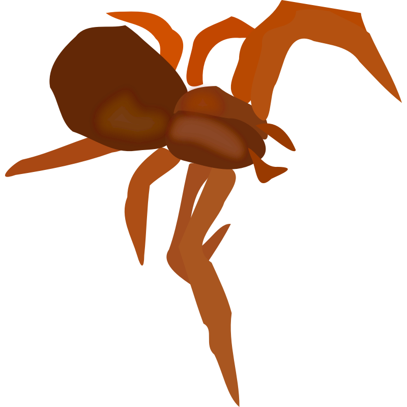 Clipart - Spider