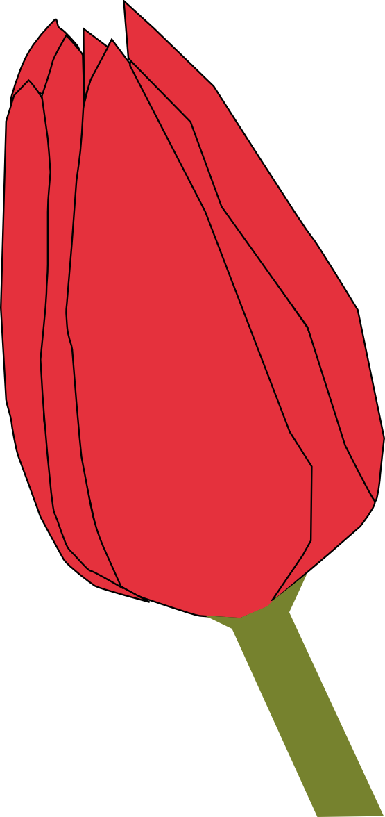 Flowers Xochi Tulip Flowers openclipart.org commons.wikimedia.org ...