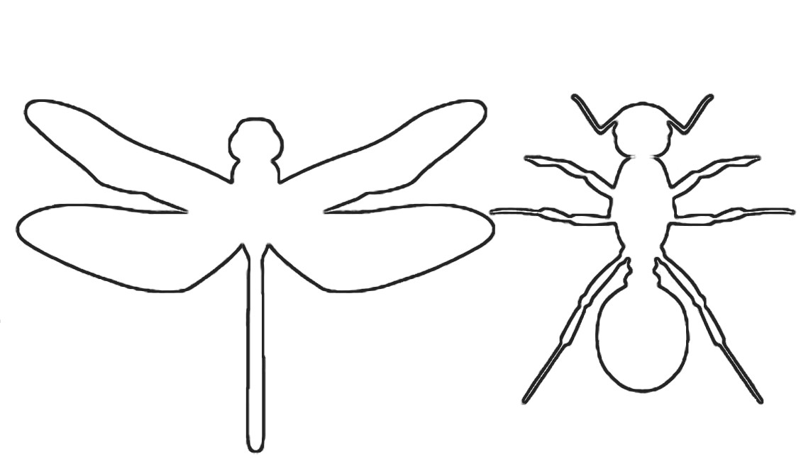 Gallery For > Dragonfly Outline