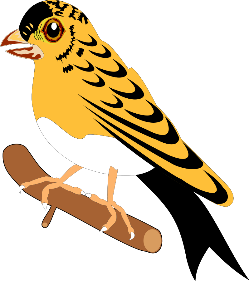 Bird 25 large 900pixel clipart, Bird 25 design