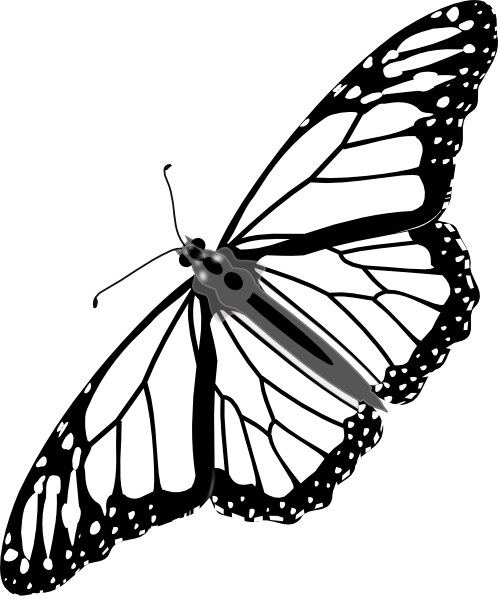 Monarch Butterfly Bw No Shadow Clip Art at Clker.com - vector clip ...