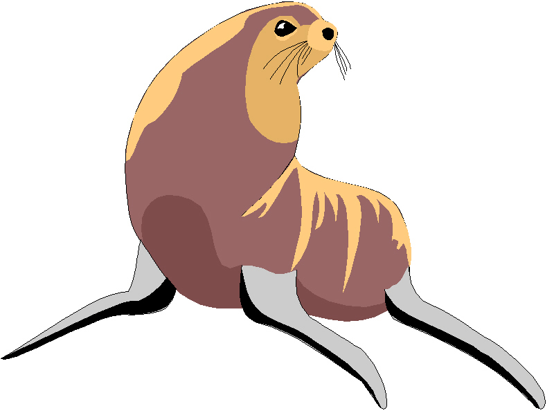 Sea Lion Clip Art Free