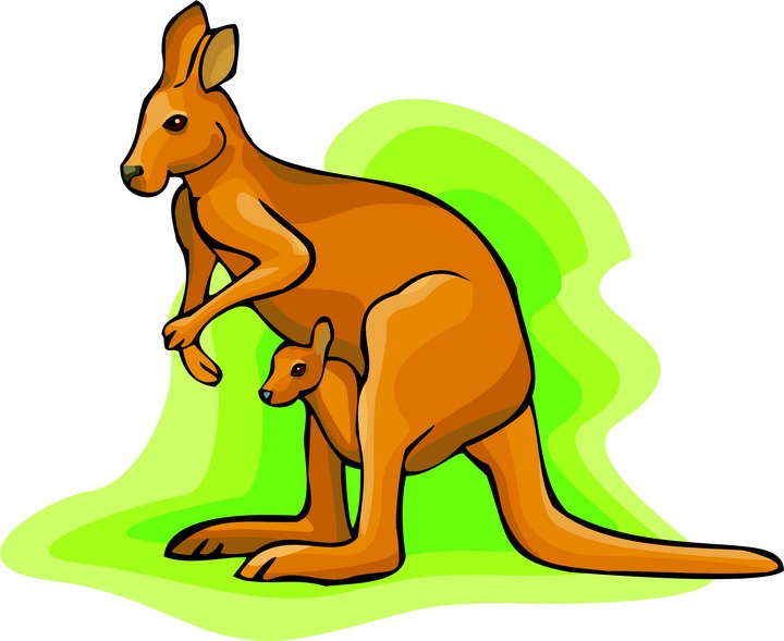 Pix For > Kangaroo Clip Art