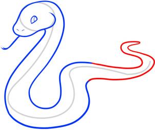 Pix For > How To Draw A Rattlesnake