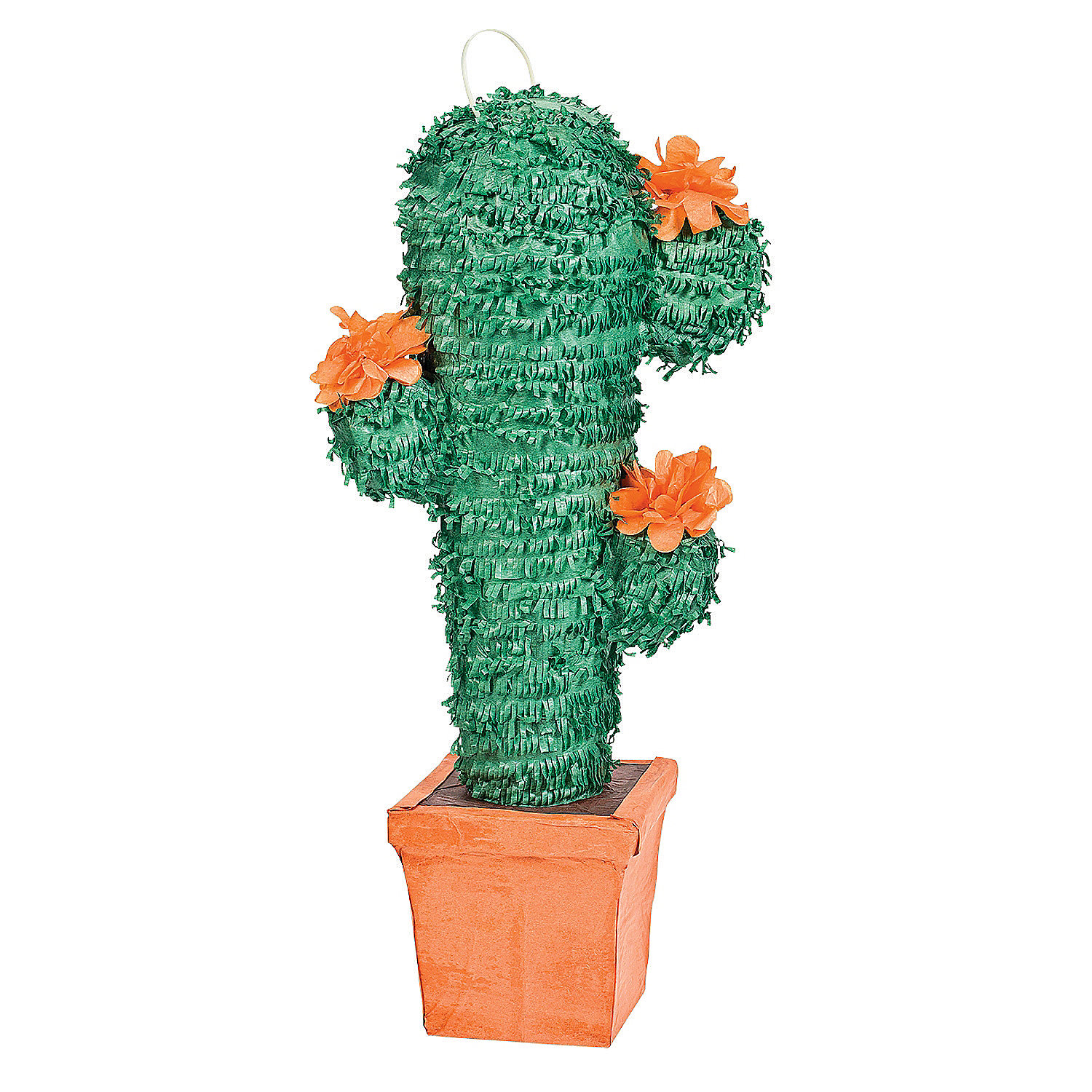 Cactus Piñata - Oriental Trading