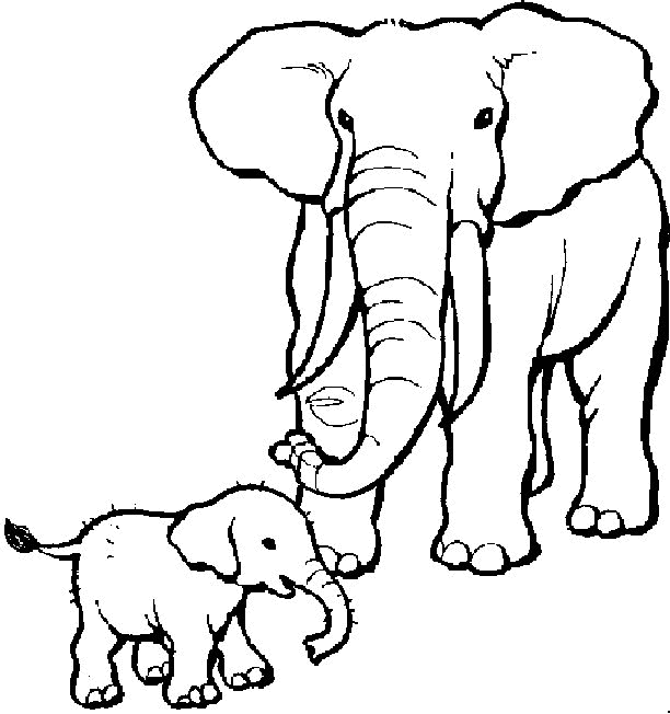 a1 elephant wallpaper 5 elephant wallpaper | Inspire Kids