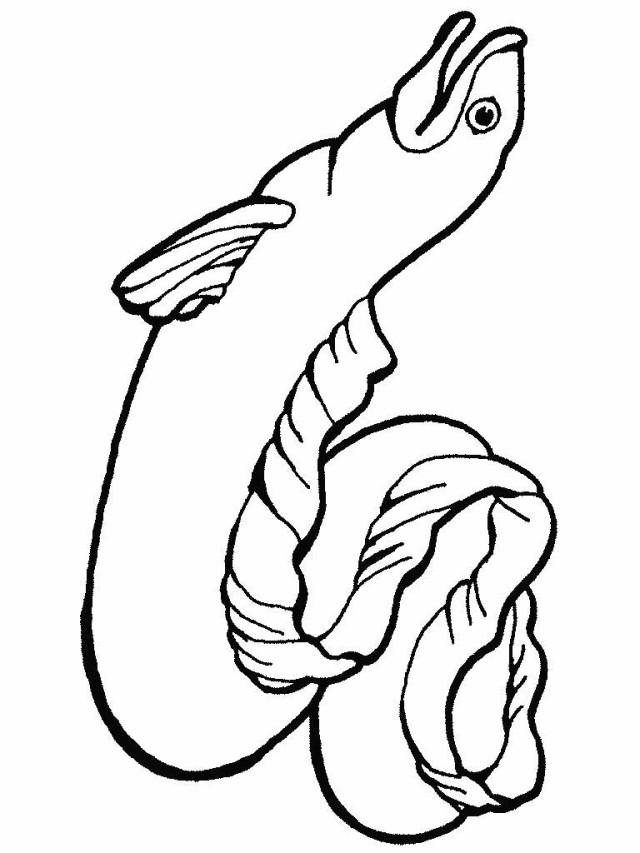 Printing Ocean Animals Fish Coloring | Laptopezine.