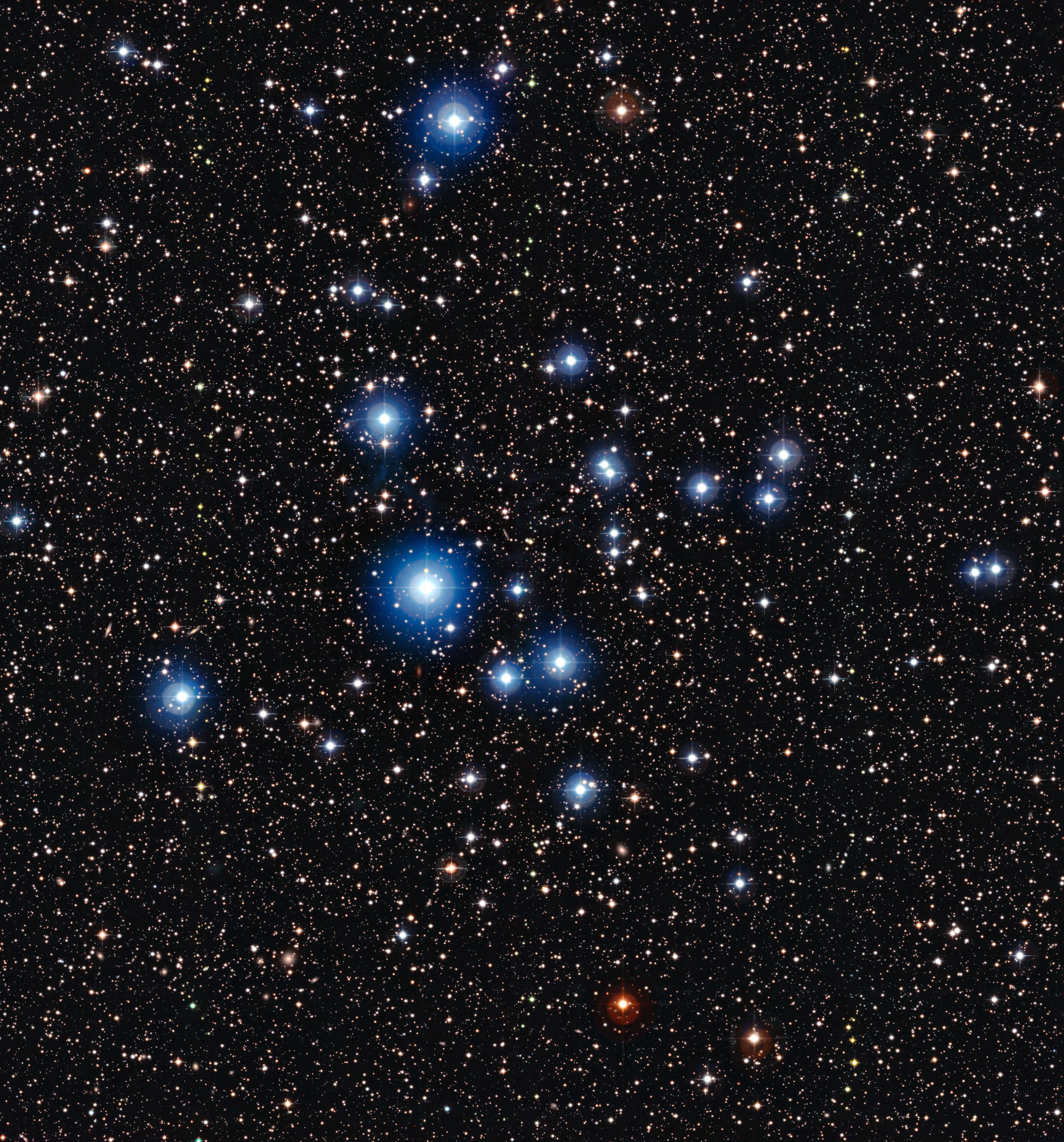 The-Bright-Blue-Stars-of- ...