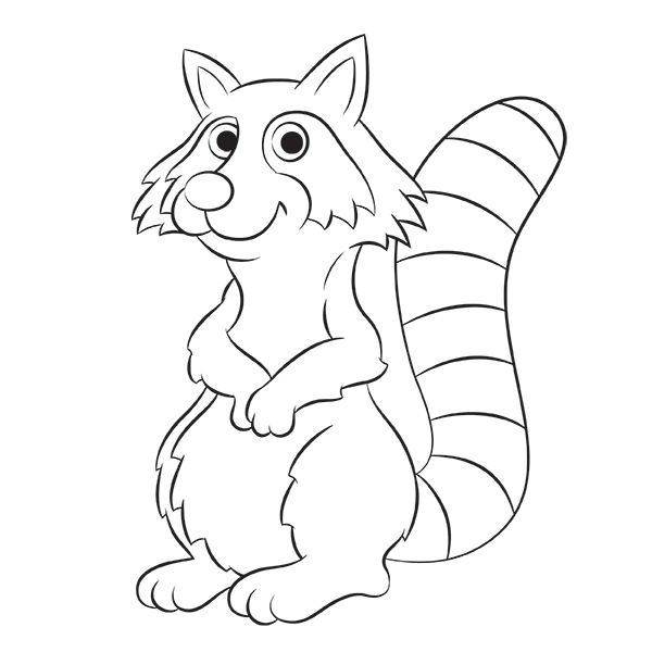 Raccoon Cartoon Step by Step Drawing Lesson