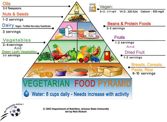 Vegetarian Balanced Diet Chart | Body Building Advisor