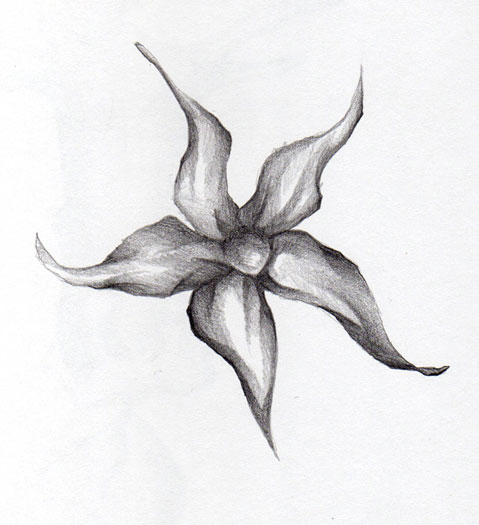 Painting – Flower (one) | HenryColchado.com
