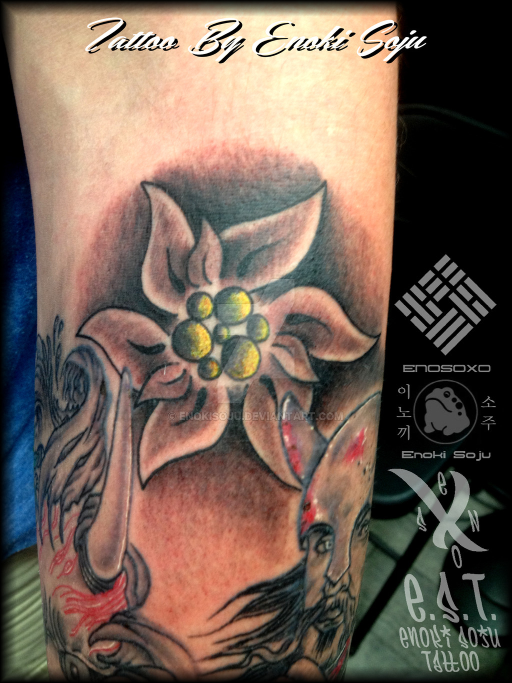 Edelweiss flower by Enoki Soju by enokisoju on DeviantArt