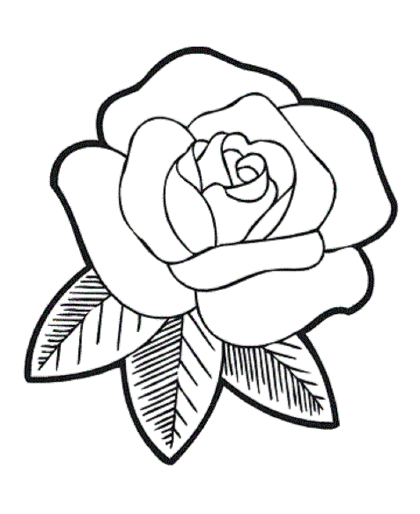 Easy Drawing Flowers Rose images