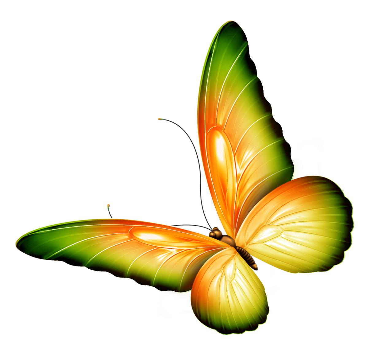 Yellow and Green Transparent Butterfly Clipart