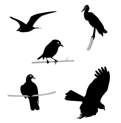 Over 200 Free and Premium Vector Birds to Use in Your Projects ...