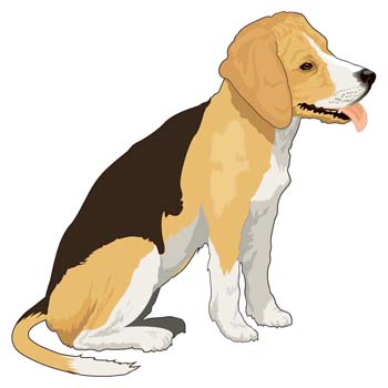 Bulk Of The Girls Living Vector 15 Barber Dog Combs Free Vector ...