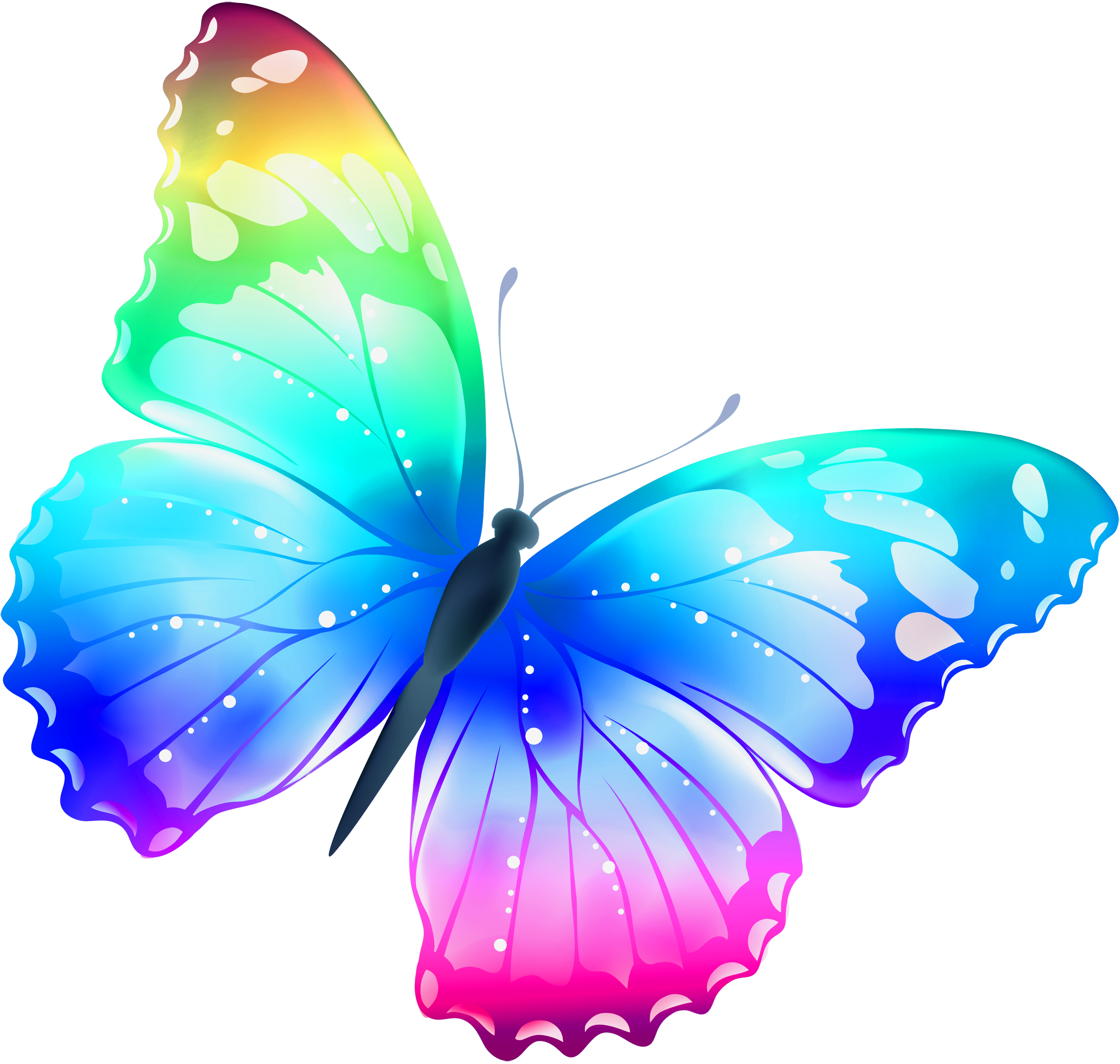 Butterflies Images Clip Art - ClipArt Best