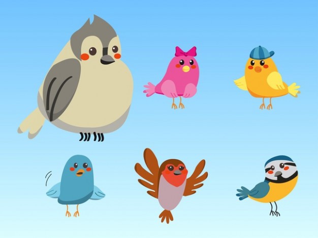 colorful Cute cartoon birds vector Photo | Free Download