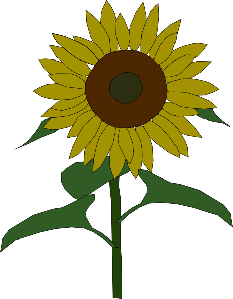 celebrity image gallery: Free Clip Art Sunflowers