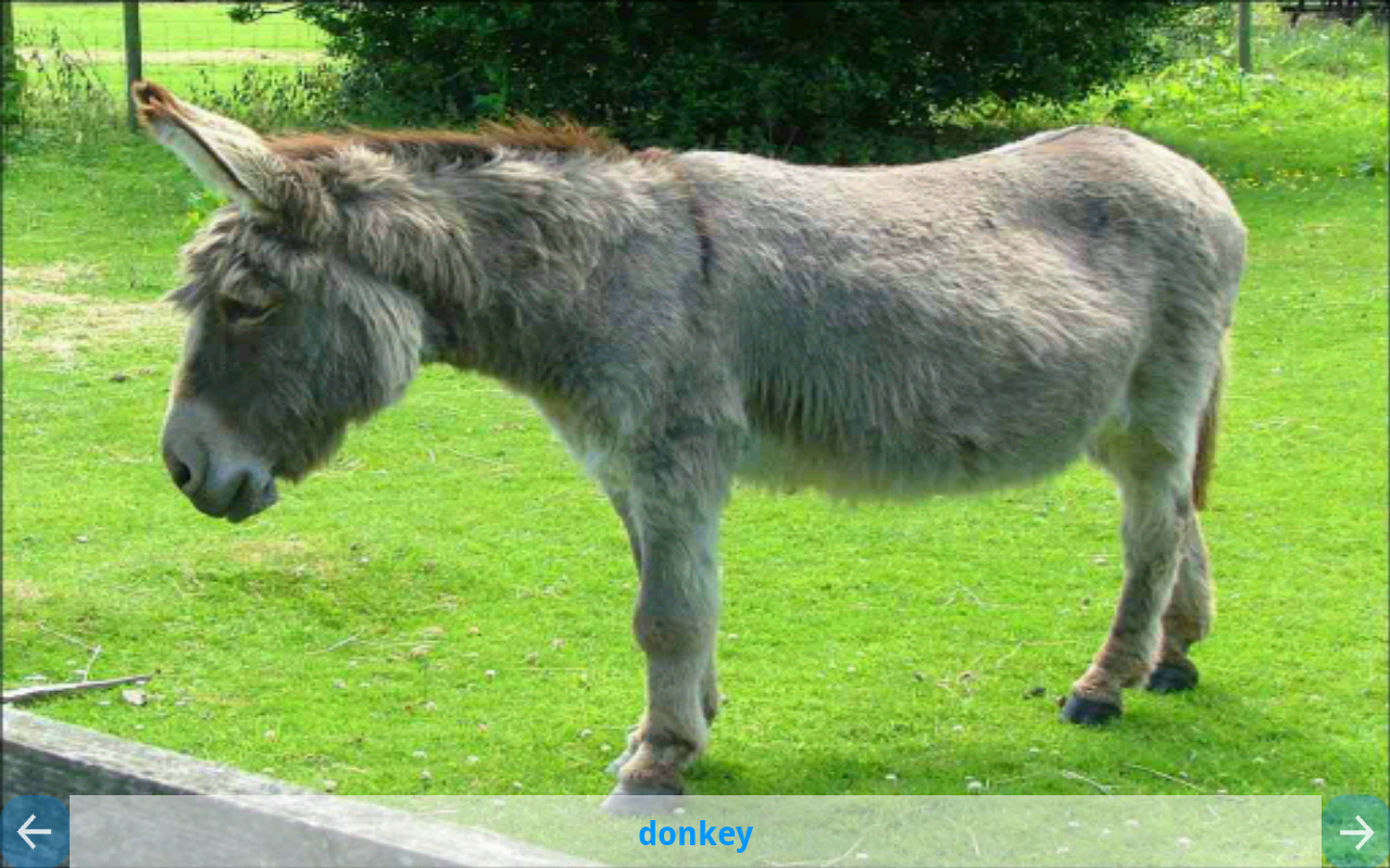Toddler Zoo Animals and Sounds - Android Apps on Google Play