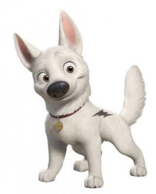 Why is There Bolt Haters? Why are they jealousy about Bolt? Poll ...