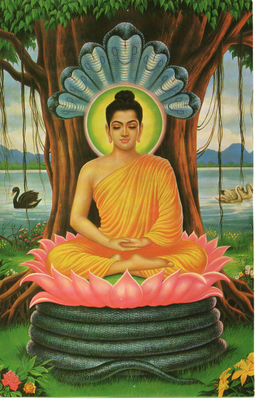 Buddha | ferrebeekeeper