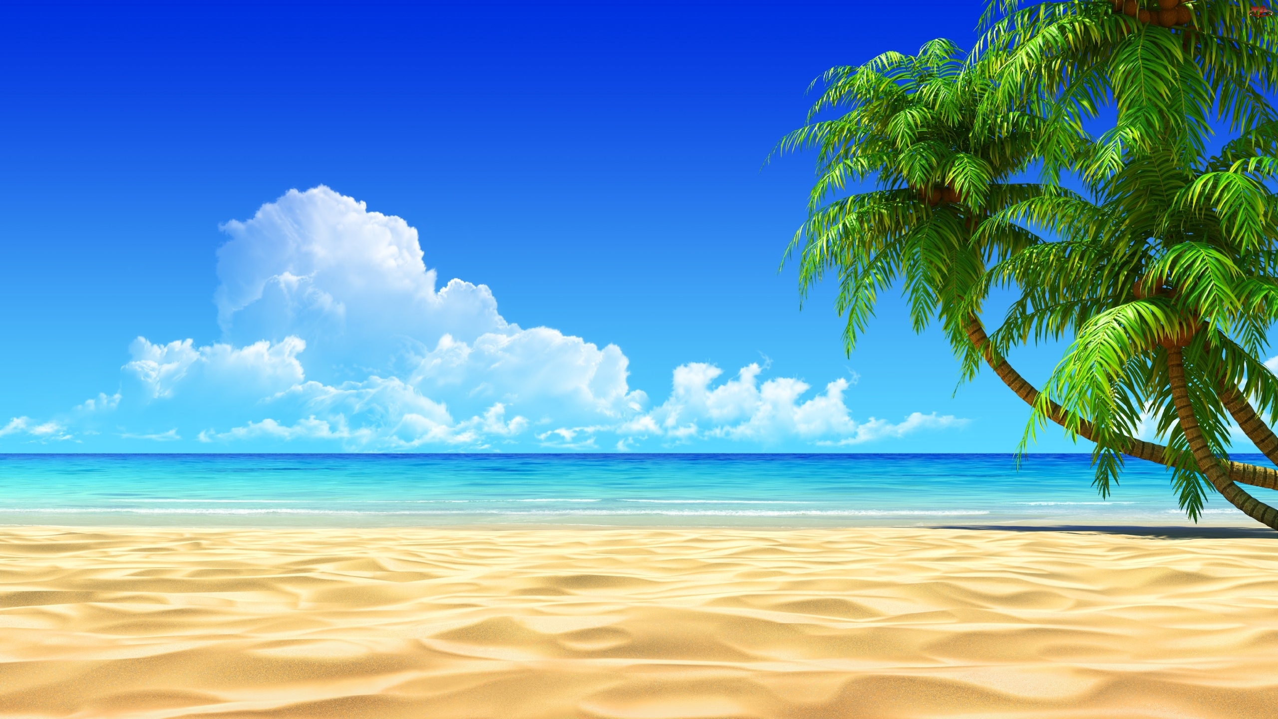Beach-Desktop-Background.jpg